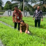 Lapas Banyuasin Panen 50 kg Sayur Kangkung Hasil Budidaya Warga Binaan